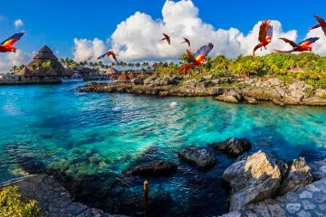a flock of birds sitting on a rock near the ocean